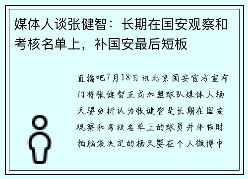 媒体人谈张健智：长期在国安观察和考核名单上，补国安最后短板